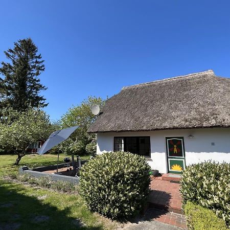 Vila Ferienhaus Ilva In Born Exteriér fotografie