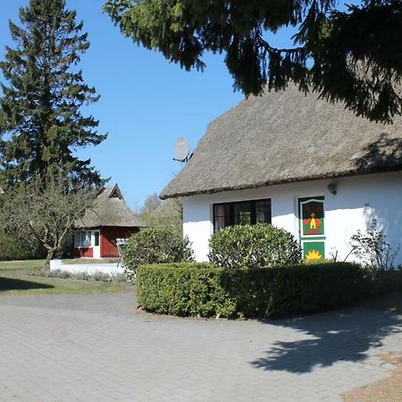 Vila Ferienhaus Ilva In Born Exteriér fotografie