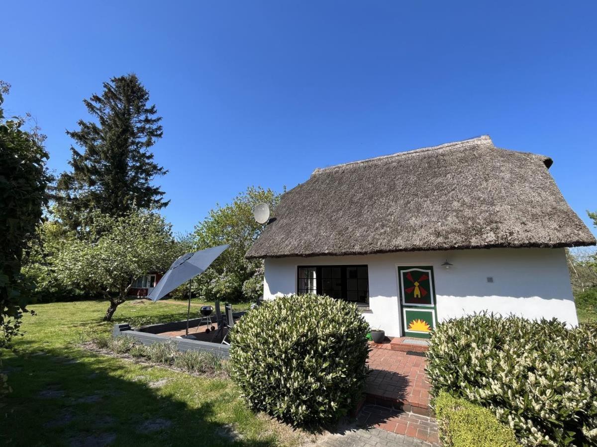 Vila Ferienhaus Ilva In Born Exteriér fotografie