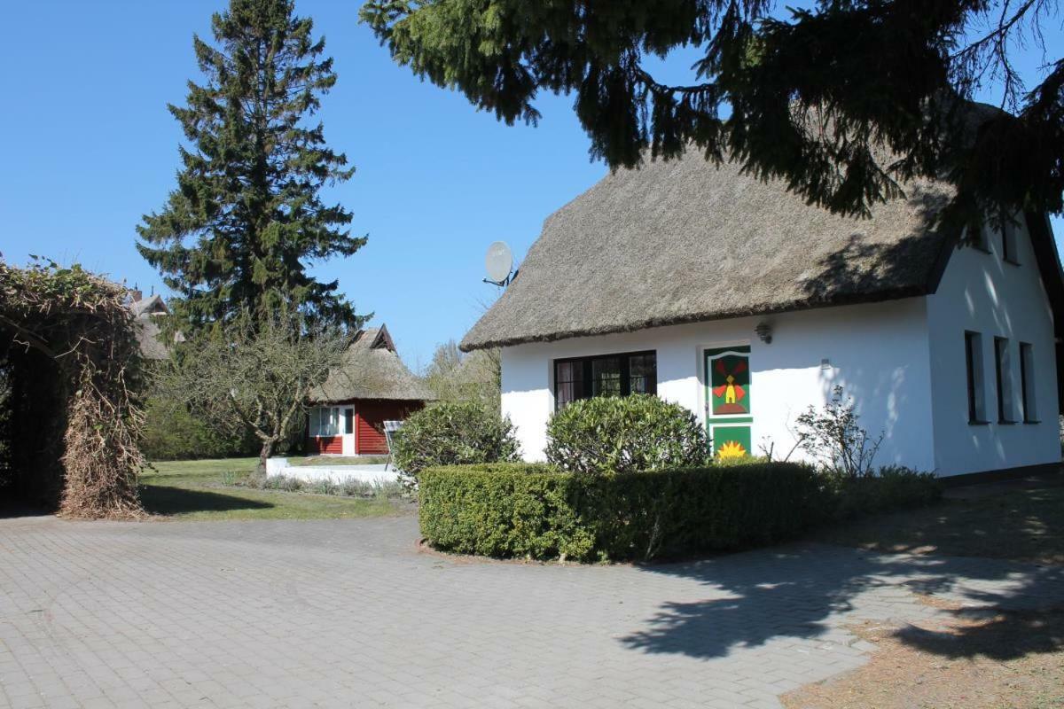 Vila Ferienhaus Ilva In Born Exteriér fotografie